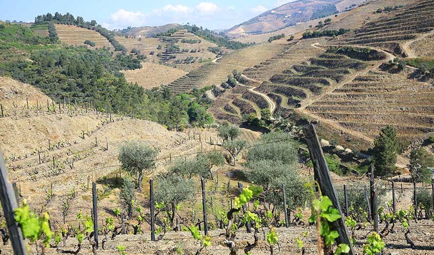 Douro Valley